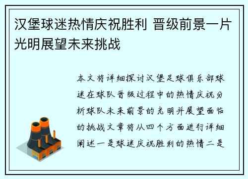 汉堡球迷热情庆祝胜利 晋级前景一片光明展望未来挑战